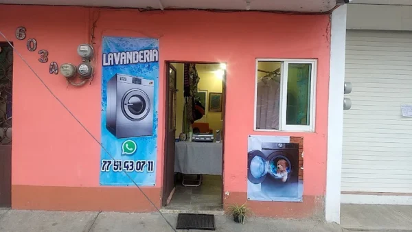 Lavanderia los 4 peluches Lavanderia los 4 peluches