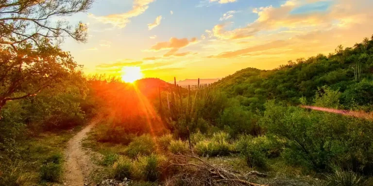 Lavanderías en Sonora